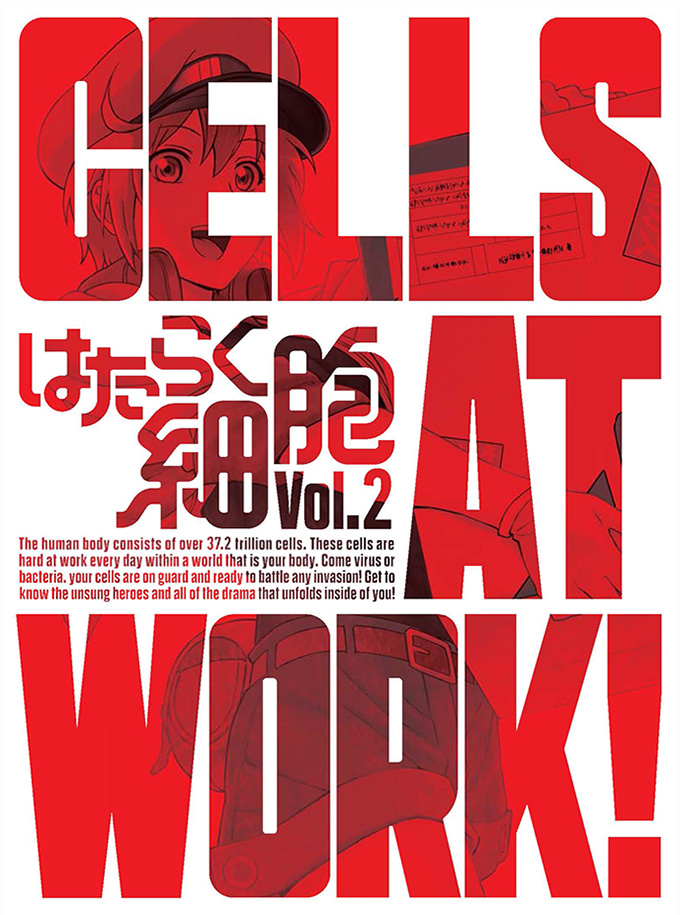 ENGLISH DUBBED Cells At Work: Hataraku Saibou Season 2 + Black  (Vol.1-21End) DVD