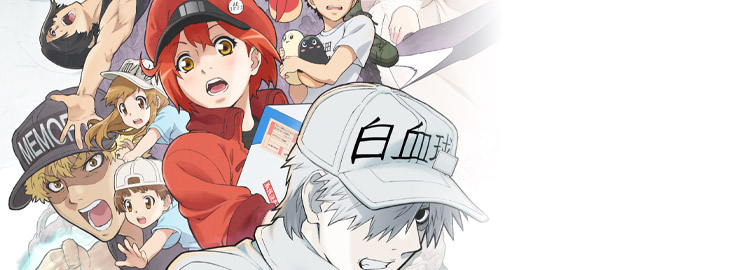 USED) (Full Set) Trading Illustration Card - Hataraku Saibou (Cells at  Work!) (全12種セット 「はたらく細胞 トレーディングミニ色紙」)