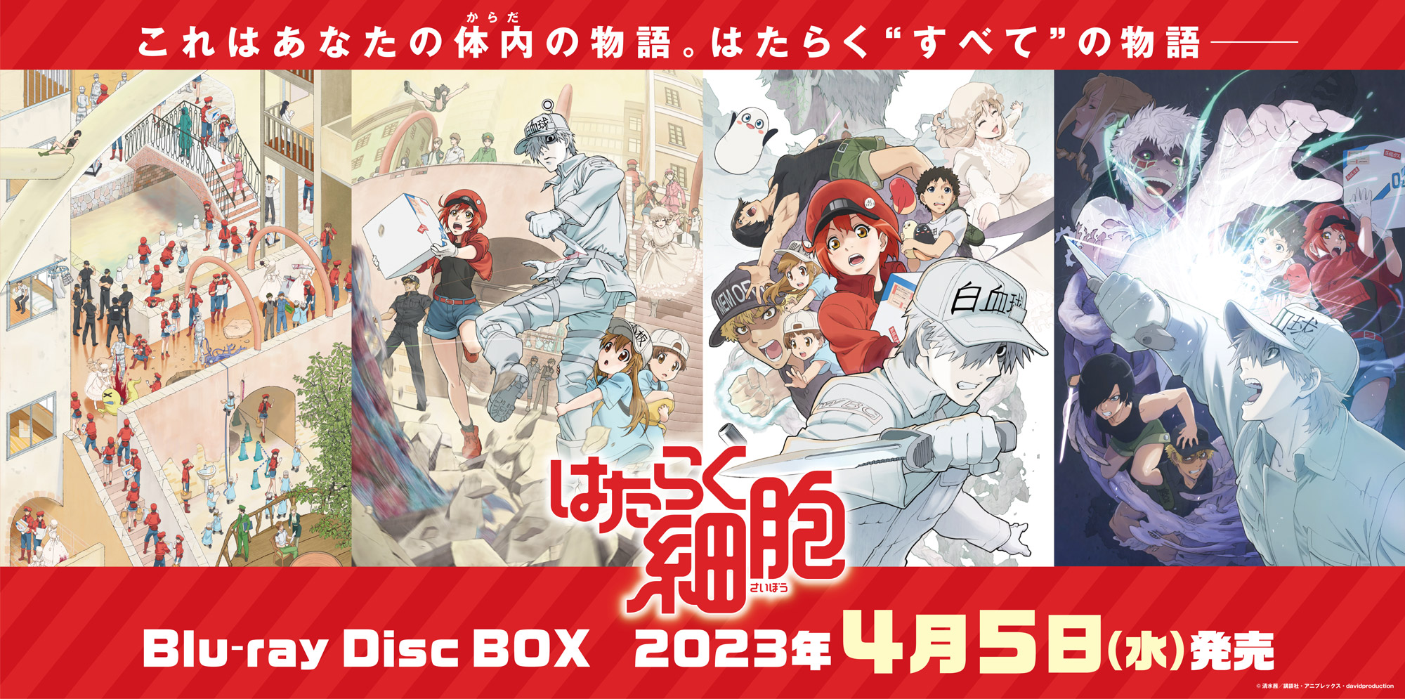 TVアニメ「はたらく細胞」Blu-ray Disc BOX 2023.4.5(Wed)発売