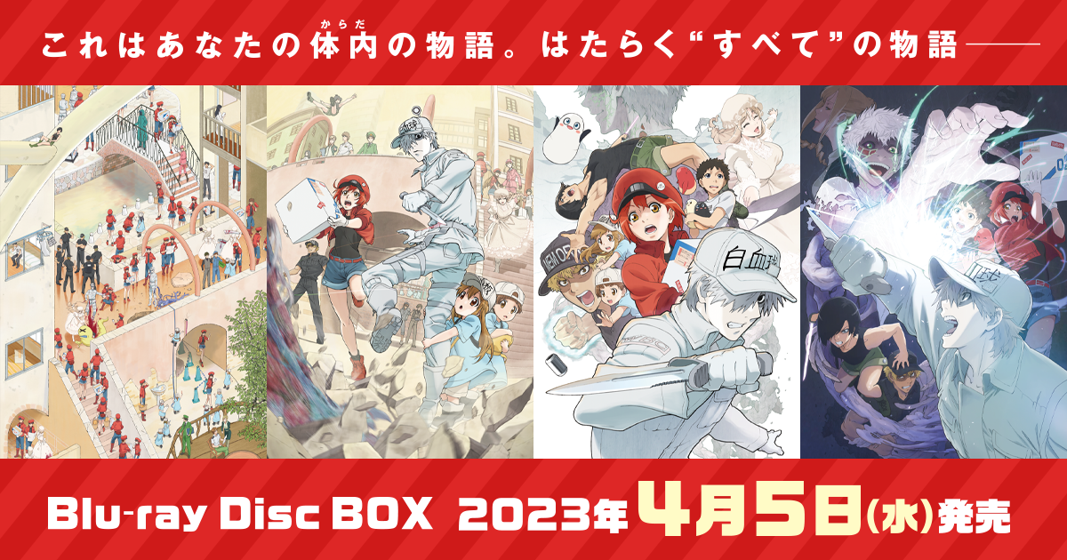 【日本製通販】リュー様 専用 はたらく細胞 関連 まとめ売り 青年漫画